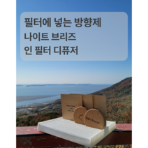 에어컨 필터에 넣는 차량용 방향제 나이트 브리즈 인 필터 디퓨저, 민트인플라워