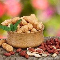 고소한 국산 햇땅콩 피땅콩 생땅콩 2kg, 단품