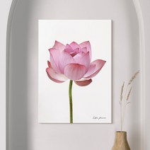 더 아트 컴퍼니 부모님 사업 수험생 시험 성적 합격 풍수 연꽃그림 재물운 금전운 올려주는 꽃 액자 거실 침실 수능방 캔버스 가족 선물 21종, 1. 합격 연꽃