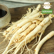 삼촌밥먹자 [산지직송] 금산 삼계탕갈비탕용 인삼 750g 인삼/한차재료>>인삼, (중)750g/30-40뿌리내외” class=”wr-img”></a></div></div></div></div><div class=