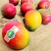 항공 스위트 애플망고 페루망고 태국망고 밀크 애플 망고 선물세트