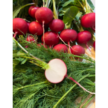 신선한 레디쉬 레디쉬 300g 500g 1kg 국내산 샐러드 물김치 생식용 적무 적환 방울무 적환무 빨간무 샐러드채소