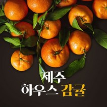 [고당도]제주 황금향 하우스 감귤 2kg 3kg 5kg 추석 선물세트, 하우스감귤, 소중과_가정용 5kg