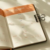 다노 습관성형 다이어트 다이어리, 단품