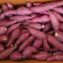 22년 달달한 햇 밤고구마 꿀고구마 베니하루카 한입 3kg 5kg 10kg, 01_한입 3kg, 1개