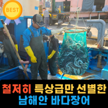 손질 통영 자연산 바다장어 1kg 2kg 3kg 구이용 아나고 붕장어 장어구이 순살 대사이즈 특대 장어 머리 뼈 포함 세트, 3kg(6~12미)