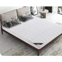 야자 매트리스 단단한 침대 디스크 환자 딱딱한 침대, 1.8x2.0m 6cm두께 항진드기