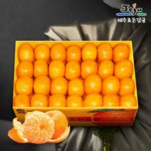 [보섭이네푸드]가락시장 직송 제주효돈감귤 5kg(47~60입내/M)