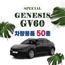[차랑] 제네시스 GV60 용품 트렁크매트 실내 실외 튜닝 악세사리 모음, 16_카울사이드 커버