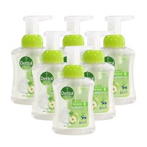 데톨 포밍 핸드워시 애플블로썸 본품 250ml * 6개