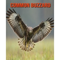 (영문도서) Common Buzzard: Amazing Facts & Pictures Paperback, Independently Published, English, 9798508994082