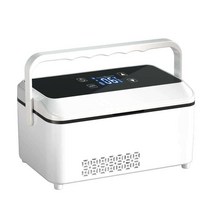 인슐린냉장고 약품냉장고 약품함 휴대용 소형 시약, 듀얼코어플래그십모델배터리없음은자동차및가정용