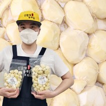 공주 깐밤 300g 500g 1kg, 깐밤 500g, 1개