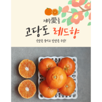 제주 레드향 2.5kg 4.5kg 선물용 가정용, 레드향(중), 1개