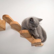 고양이캣워커 캣타워 사다리 캣선반 벽 장착 고양이 등반 고양이 등반 프레임 애완 동물 가구 놀이 집, 알
