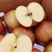 프레아 마켓 경북 영천 청송 꿀사과 부사 못난이, 경북 꿀사과 2kg(정품/소과/11~13과)