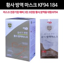 크린탑 에버그린 황사마스크 KF94 비말차단 대형
