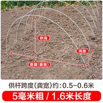 새로운 작은 아치 브래킷 야채 창고 기둥 분야 단열 FRP 단단한 유리 섬유 농업 묘목, 500팩, 두께 5mm - 길이 1.6m