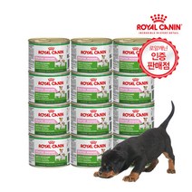 로얄캐닌 미니 스타터무스 195G 12캔 생후 2개월 까지강아지 습식사료