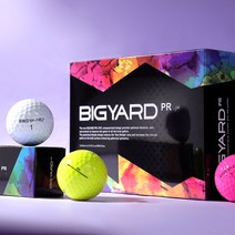 넥센 빅야드 PR 2피스 골프공, 빅야드 PR 4컬러, 옵션선택