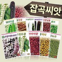 다농 콩 팥 녹두 감자 잡곡류 옥수수 종자 씨앗모음전, AQ13=율무50립!