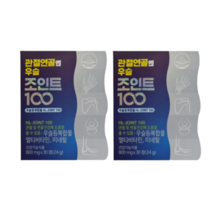 관절연골엔 조인트100 2박스 1개월분, 단품, 단품