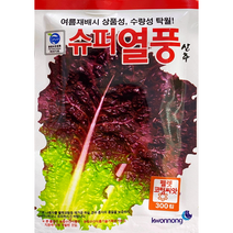 슈펴열풍상추씨앗300립 여름재배시 상품성 수량성탁월