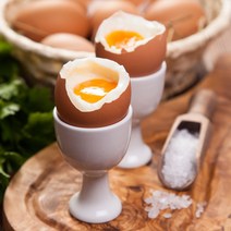 [더 시선] HACCP인증 촉촉한 영양간식 반숙계란 모음기획, 40개