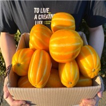 성주 못난이 참외 산지직송 2kg 2.5kg 3kg 5kg, 5kg(혼합)