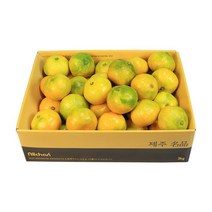 제주 하우스 감귤 선물세트 3kg 5kg 10kg, 6.하우스감귤소과 5kg 2S~S(61~94과 내외)