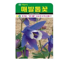 SN월드 야생화 씨앗 꽃씨앗 모음, 야생화 - 매발톱꽃(500립)