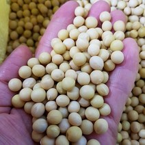 [22년산] 백태 메주콩 햇콩 국산콩, 1개, 5kg