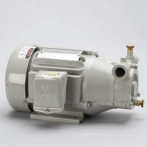 유연 고온고압웨스코펌프/S-1575 0.75KW, 1개