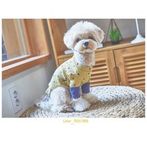 푸들 포메 비숑 강아지 외출 예쁜 도트 옷 코카스파니엘옷 개옷, XL