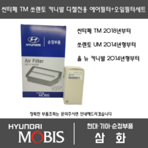 올뉴카니발(14~18년형) 디젤차량 에어필터 + 오일필터 세트 28113-A9200 + 26320-2F100 현대모비스 순정부품