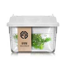 저수지 검정말 관찰세트 자연 초등교과 수생식물-2802EA, 본상품선택
