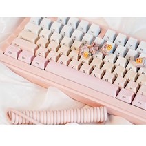 라움필 OEM LED 투과 121키 키보드 키캡, 핑크