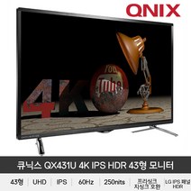 43인치 큐닉스 QX431U 4K IPS HDR LG패널 UHD 리모콘 게이밍 모니터, 큐닉스 QX431U 4K IPS HDR 일반