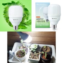 항균 LED 식물성장등 1P 실내재배등 쑥쑥이 풀나옴 썬라이크 홈가드닝 베란다 텃밭전구, 주광색