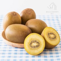[웰굿] 산지직송 하동 골드키위3kg(26-30개 특과), 단품