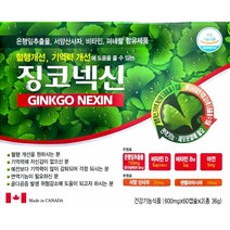 징코넥신 120캡슐 은행잎추출물 혈행 혈액순환 수험생 영양제 기억력