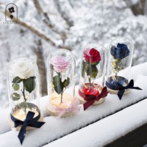 미녀와야수 장미꽃잎버전 유리돔램프 무드등 (4color), 화이트