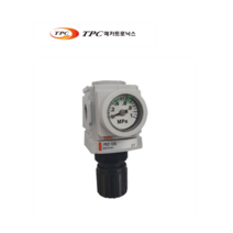 TPC 레귤레이터 PR2-02BG Regulater 1/4, 1개