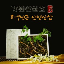 국산 강원도 무농약 산양산삼 8-9년근 산삼주 장뇌삼먹는법, 1세트, 산양산삼 8-9년근 (3주)