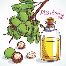 몰드몰 마카다미아넛 오일, 100ml