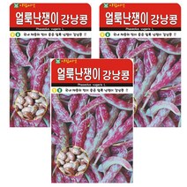 얼룩난쟁이강낭콩 3개입 씨앗 씨, 1개