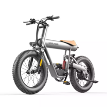 COSWHEEL 코스휠 T20S 20인치 전기자전거 500W 20ah 팻바이크