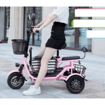 3륜바이크 삼륜 전기오토바이 2인승 노약자 전기차, 클라이밍모델/리튬11A/40km/3인승/48V