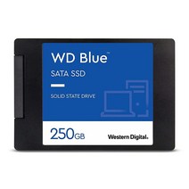WD 내장 SSD 블루 2TB 최대 560MB/s (WDS200T2B0A), Previous Generation, 250GB