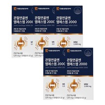 엠에스엠 2000 식이유황 식용유황 관절 연골 건강 영양제 약10개월분 단일성분 디메틸설폰, 5박스, 120정
